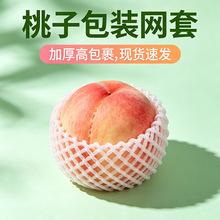 水蜜桃网套快递防震苹果珍珠棉泡沫苹果橙子发泡格袋花菜保护网兜