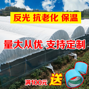 Black and white film insulation thickened breeding heat insulation reflective edible fungus anti-seepage fish pond green storage imported greenhouse film green white film