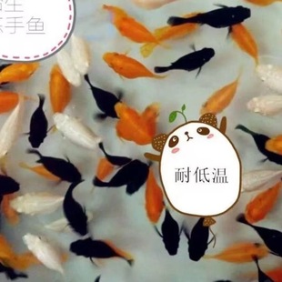 �������~̥���~Ƥ���~�Ꭷ�~���ֺ��B�~�����~���w