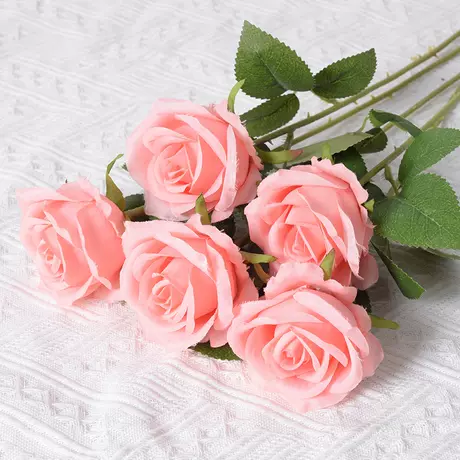 Coral pink (silk cloth version)