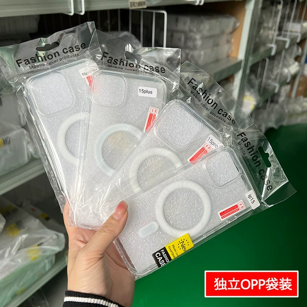Magnetic shell (bag)