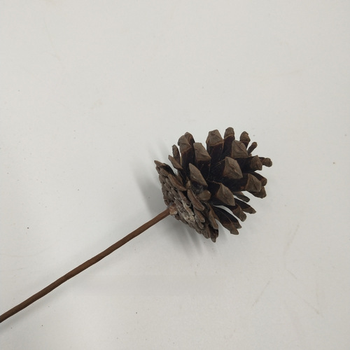 Pine Nut Pine Cone Natural Pine Balls Dry Flowers Christmas Decorations for Kindergarten Handmade DIY Materials Spruce Oil Pine