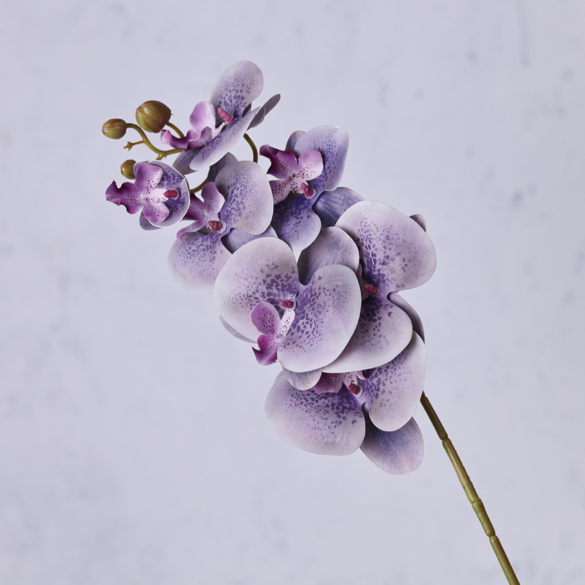 Impresión 3D de 7 cabezas de orquídeas mariposa flor de decoración de flores de alto nivel flor de nicho decoración floral decoración de sala de estar