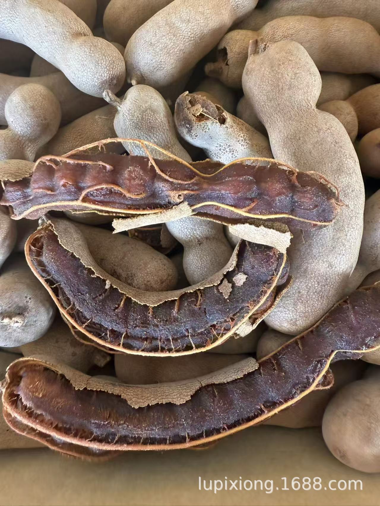 微信图片_20260401130915_1276_13