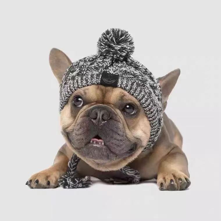 Gorro de Lana para Mascotas con Orificios para Orejas para Perros Pequeños y Medianos image 2