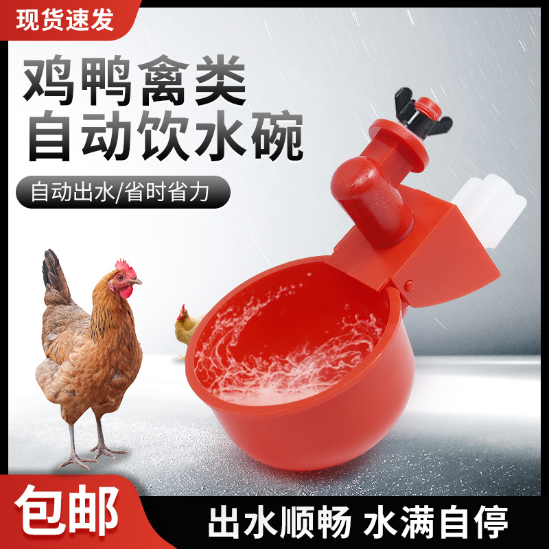 家禽自动饮水器鸡喝水饮水碗鸭鸽子鹌鹑散养鸡自动饮水器雏鸡鸟用