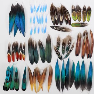 ��ë�W�^�c������ϝ{�c����ë�¿�ȸ���B��ë����diy����ë����