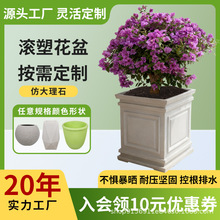 ���Sֱ�N��֬����Ӻ����ô�̖�������̨�Gֲ��͸����ˮ�������l