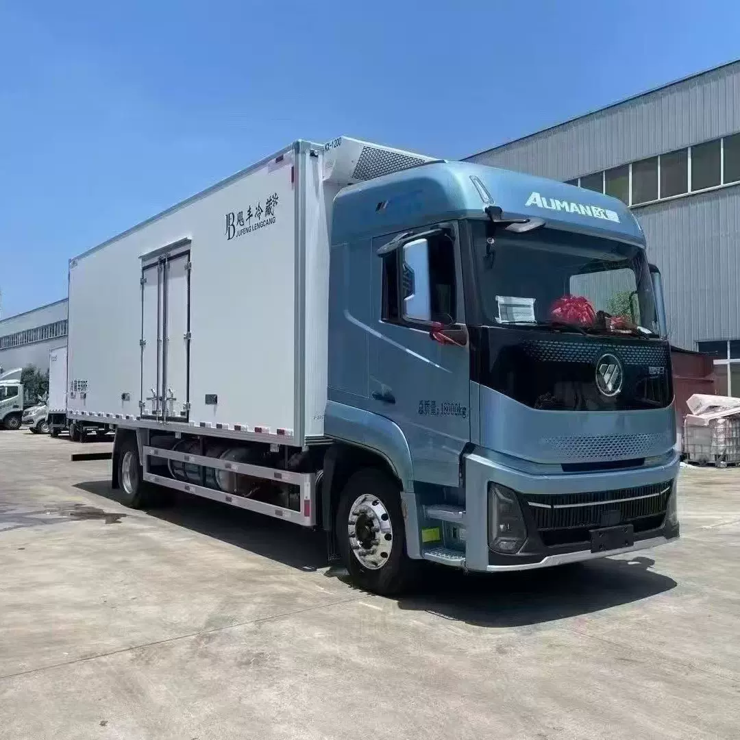 出口福田欧曼6.8米冷藏车拉蔬菜水果冻品冷链运输车保温车制冷机