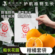 �ҰҸ��״����ٹ���Ě���Ӵ�Ҋ��֪��â��ʯ����x�Bˮ���״�