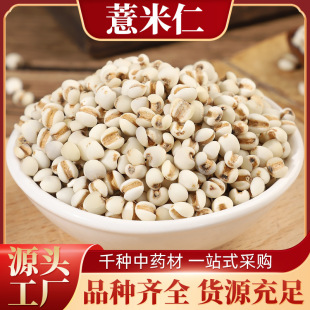 ޲���� ��؛ ���ʳ�޲���� �t���͌�޲�ײ�ԭ��