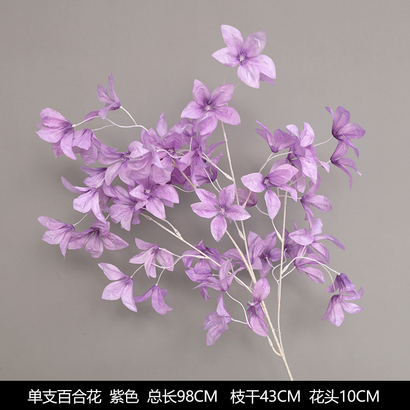 새로운 단일 백합 꽃