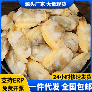 ���������������F�����׸�����ؐ����⺣�rˮ�a�������l
