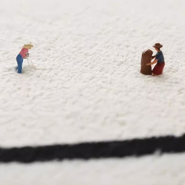 Transfronterizos de dibujos animados felinos imitando almohadillas de cachemir inodoro visual 3D absorción de agua alfombra de suelo sucia alfombra de suelo de baño doméstica resistente al desgaste