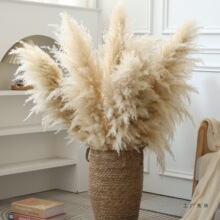 �W�t��Ȼ�JȔ��Ȕ�ɻ������͏d����ܛ�bչ�d������ز廨���յ���