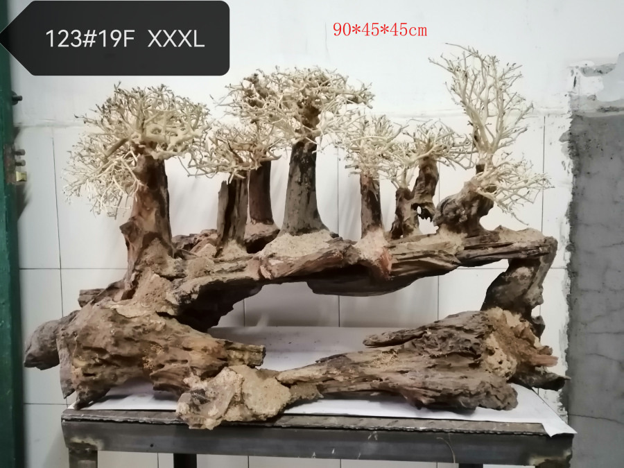 Бразильское дерево 19FXXL