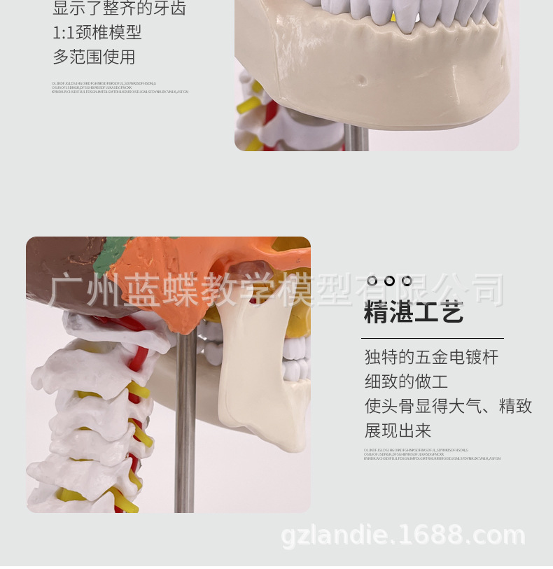 彩色头骨-详情页_10
