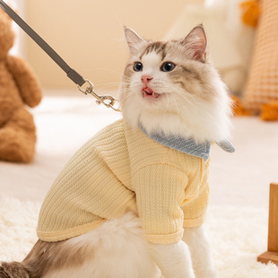���＾؈���·�ƴɫ��������챡���_���{؈��؈�oë؈���ﹷ�·�