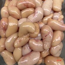 ����S���]���u�I�u���u�������r�u�������uغ���r��������r���l