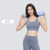 Bluish Gray