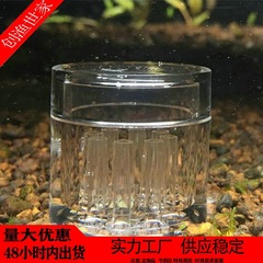 Copepod Trap Leech Snail Worm Protein Insect Attractor Catches Copepods Insect Trap 8-Hole Insect Catcher