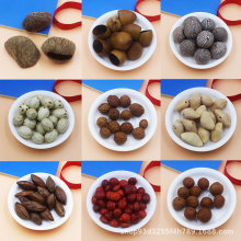 天然印尼果壳尼泊尔菩提子DIY手作摇铃材料包挂饰种子女项链配件