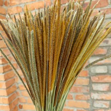 ������S���С�S�ݸɻ����Ĳ廨diy���յ��߶Y��羳�����L��