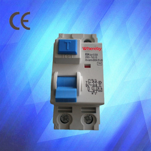 CE approval circuit breaker protector leakage circuit breaker AC type 100AF362
