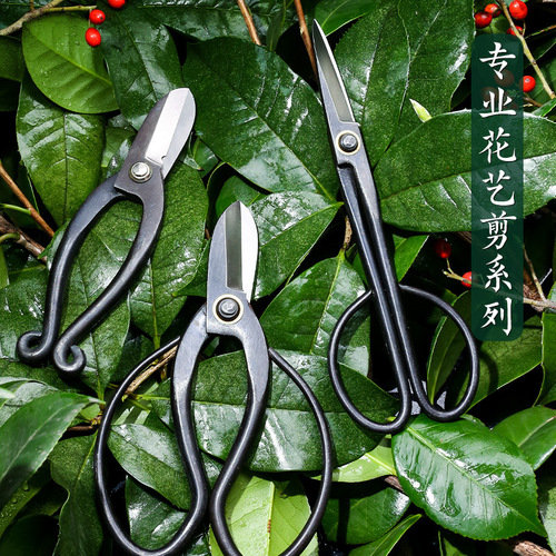 Flower arranging scissors, professional floral scissors, flower arrangement, gardening tools wholesale, pond scissors, Japanese pruning scissors, twig scissors