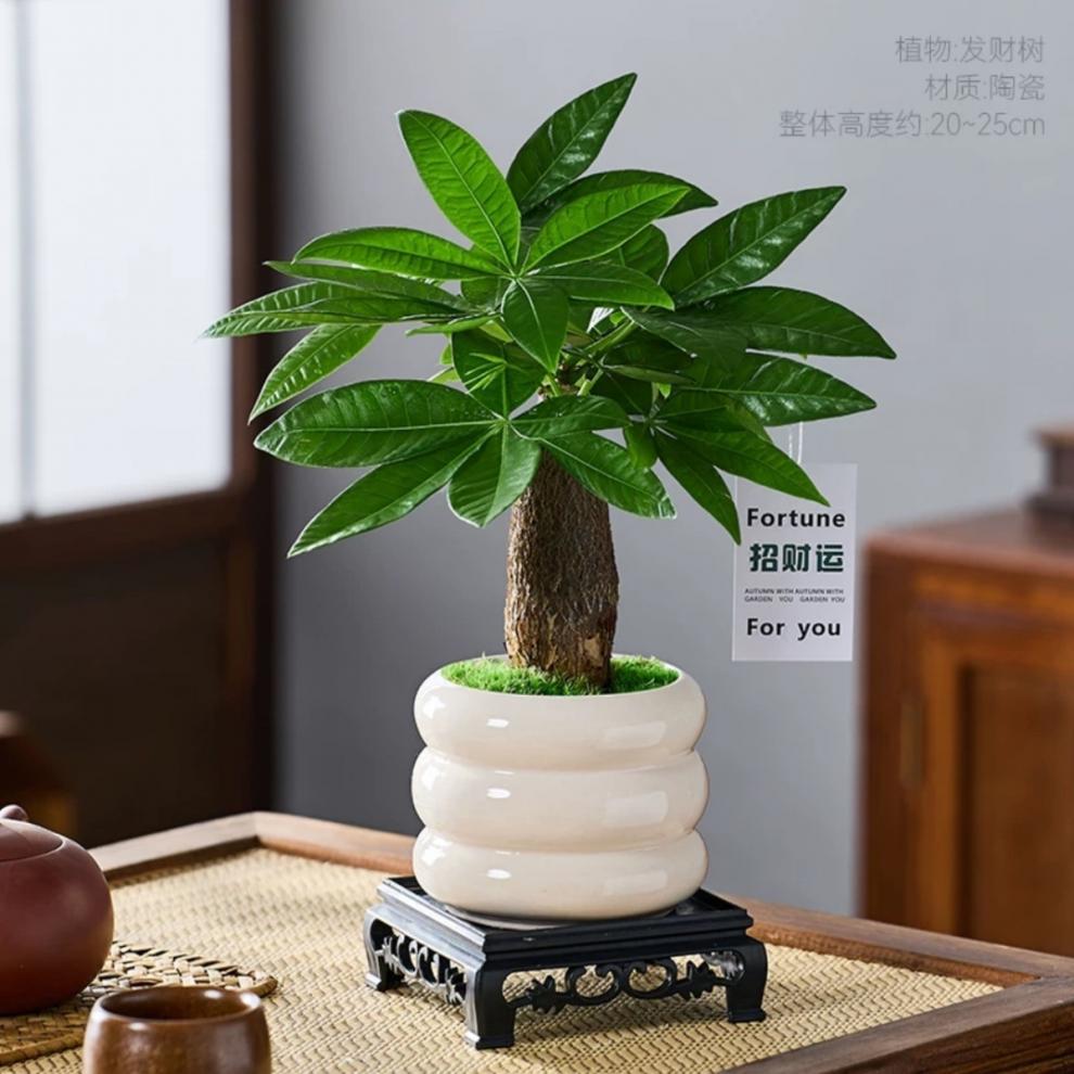 ff800bdd-1879-4219-8173-21f48aa628de.jpe