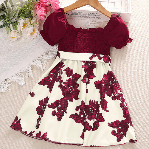 2024 Girls' Summer Dress New Children's Formal Wear Short Sleeve Printed Princess Dress European and American Children's Clothing Wholesale