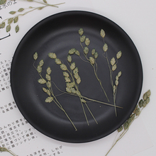 2P80ҰݸɻɲֲѺݘ˱NՈb