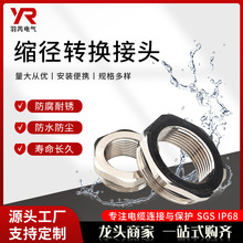 ����׃���h �D�Q���^ �s���h ���P��D�Q���^ �s���D�Q���^