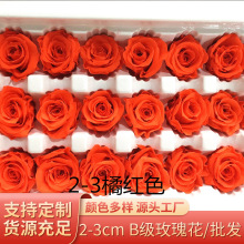 厂家批发2-3cmB级玫瑰花保鲜永生花圣诞七夕礼盒生日礼物DIY