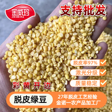 �����������S�����l Ó��ɢ�b�G���� ����W�ό��� Ó���_߅�G��