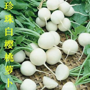 יС}NӴˮ}NѴ＾ļ̨