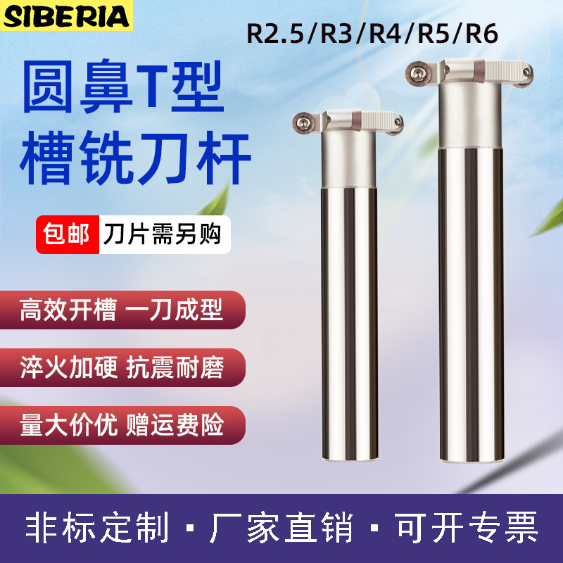 厂家直销R2.5R3R4R5R6开槽TMR圆鼻T型槽刀杆机用数控T型槽铣刀杆