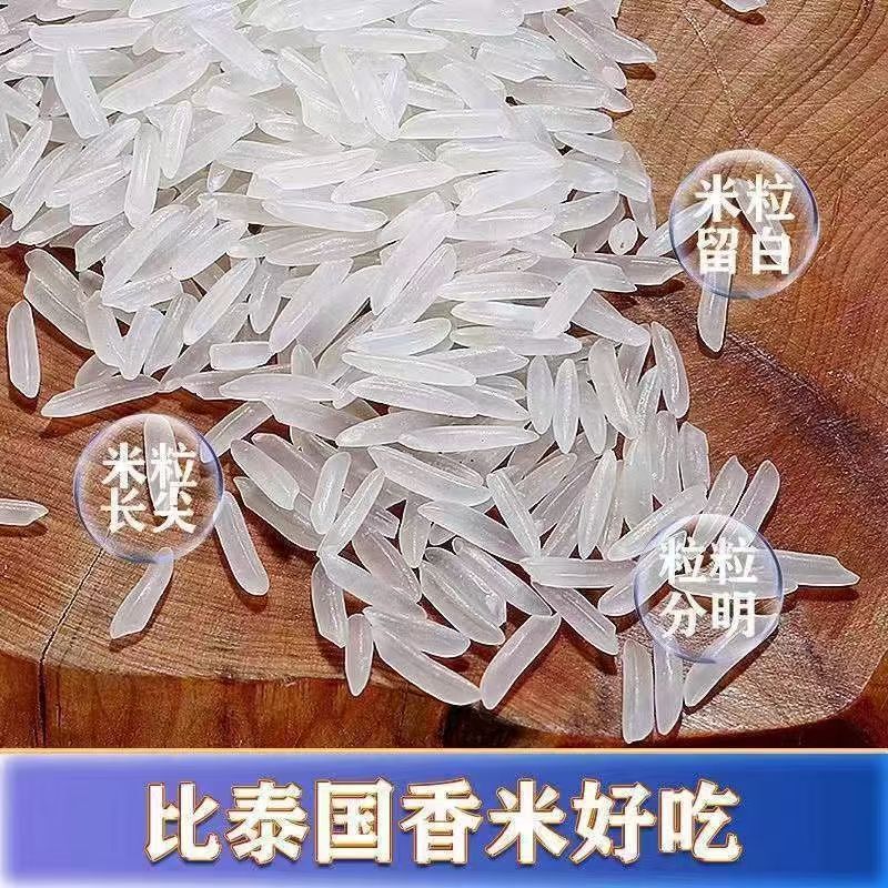 【猫牙米0斤】长粒香米猫牙米农家香米祥太米行中国大陆|undefined