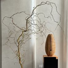 ��Ʒ������2�״�֧����ˮ��ֲ���҃�֦�l�r��ˮ�B�Gֲ�����lѿ