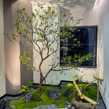 ��Ʒ���u��������Gֲ�҃��b��쾰��ؔ[�����sֲ����ʽ���Ҿ��^