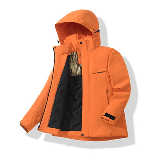 ʯīϩ��q������2025�ﶬ�¿��ˮ���L��ů��Ůͬ�����_�h��