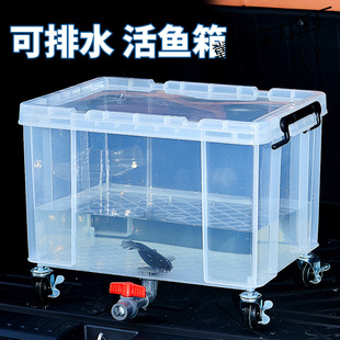 Outdoor Car Fishing Box Transparent Trunk Large Capacity Plastic Thickened Seafood Aquaculture Fish Tank Live Fish Barrel