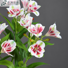 ���滨 ��֦ˮ�ɻ� �ָ��zƬ�Ҿӿ͏dܛ�b�c�Ƶ�[�������ٻ�