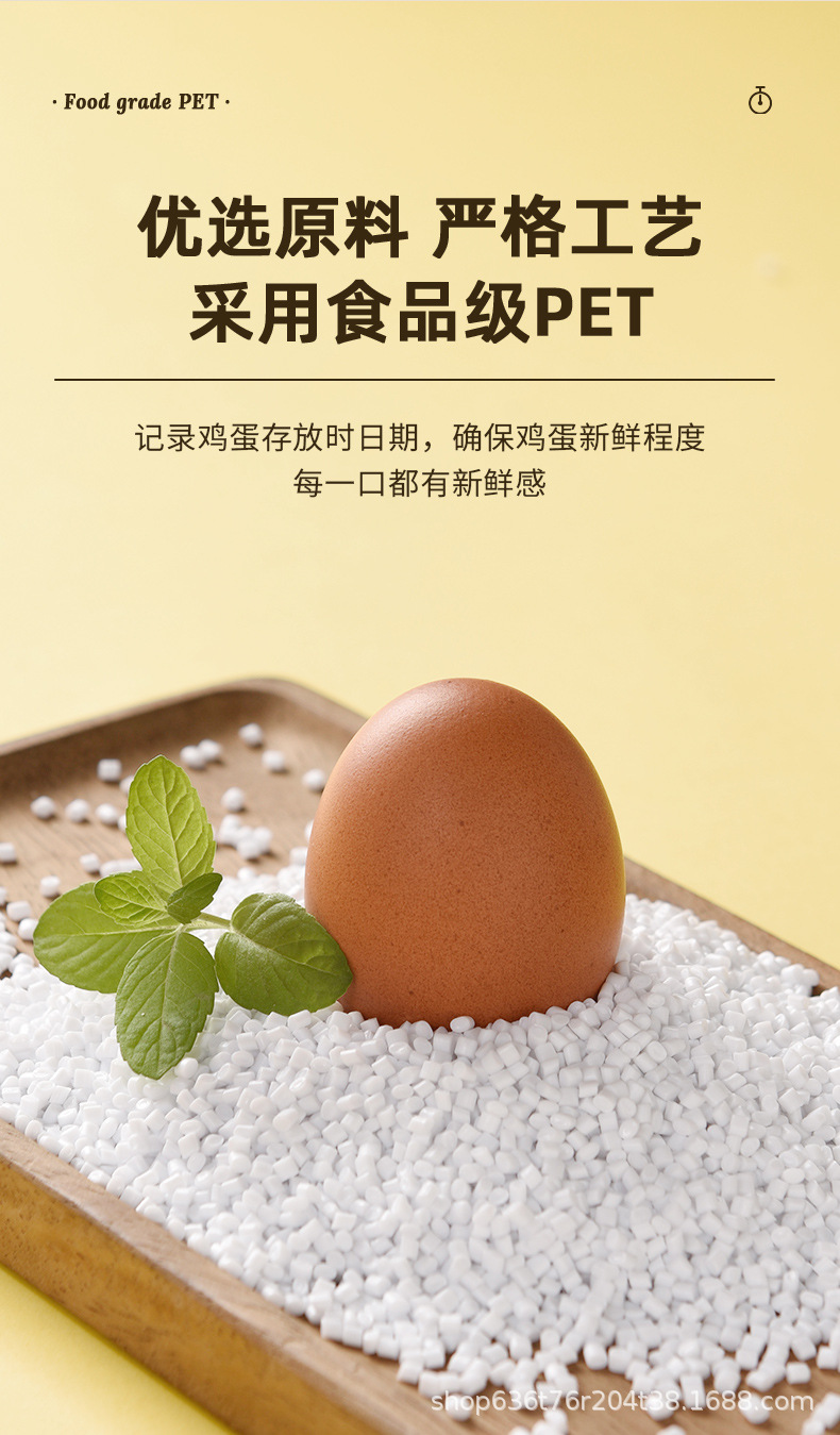 守一鸡蛋盒_08.jpg