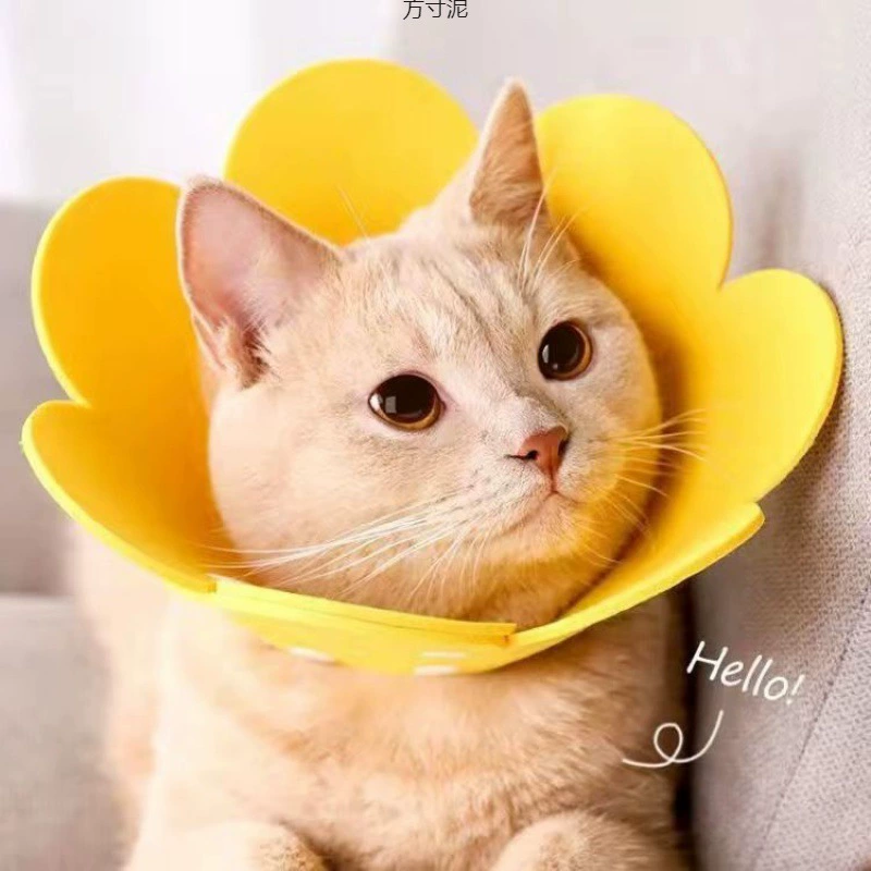 Кошка Elizabeth Шея против облизывания