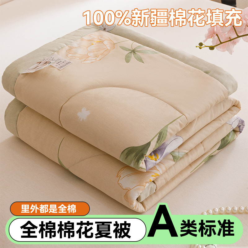 Edredón de aire acondicionado lavable de algodón de clase A, núcleo de edredón de algodón de Xinjiang, edredón de algodón impreso de verano, edredón de regalo doble