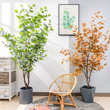 ���Wins�L����Gֲ���滨������ؿ͏d�������Ԕ[����ֲ���ȼ���