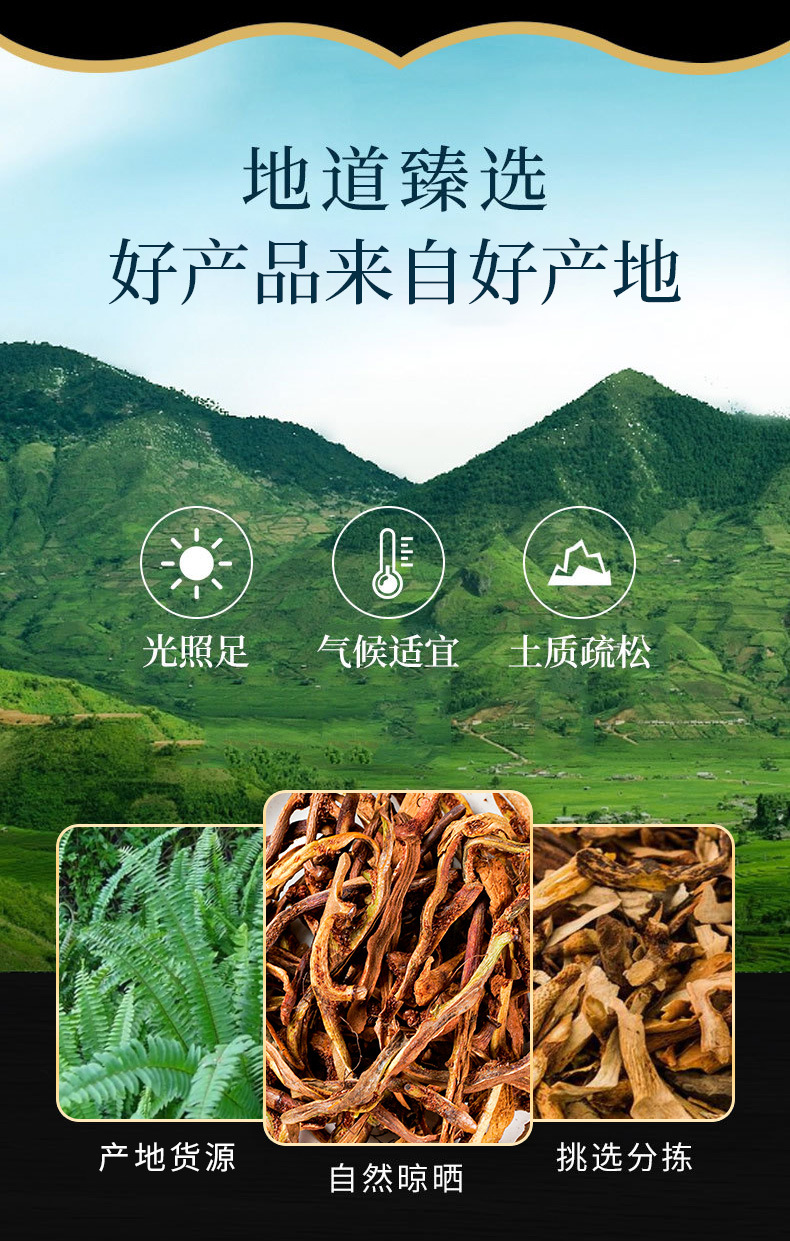 Gu Sui Bu (Drynaria fortunei) — Dried Food Herb Rhizome, Stir-Fried & Sun-Dried overview
