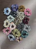0079 Small Intestine Loops Mixed Batch 5 Pack