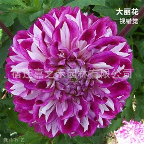 微信图片_20210607121028